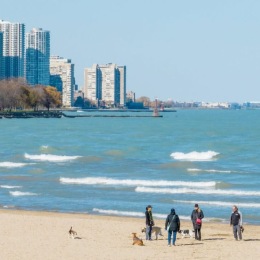 Welcome Home beach with big waves and city