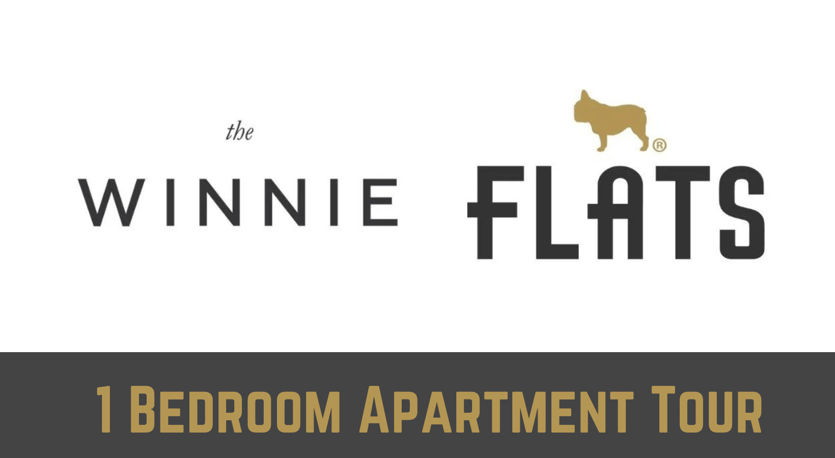 The Winnie  1 Bedroom Apartment in Uptown Chicago Walkthrough Walkthrough The Winnie  1 Bedroom Apartment in Uptown Chicago