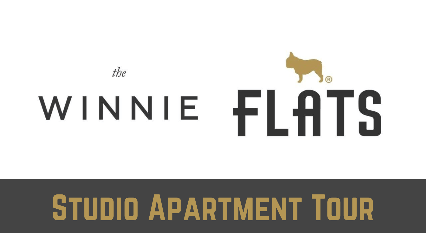 The Winnie Studio Apartment in Uptown Chicago Walkthrough Walkthrough The Winnie Studio Apartment in Uptown Chicago