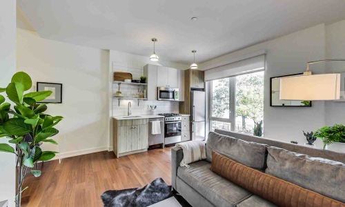 Chicago one bedroom apartment interior - single bedroom apartments chicago