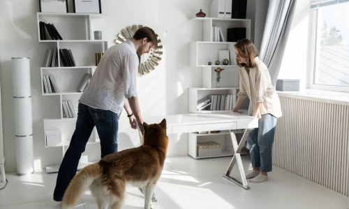 pet friendly apartments Chicago