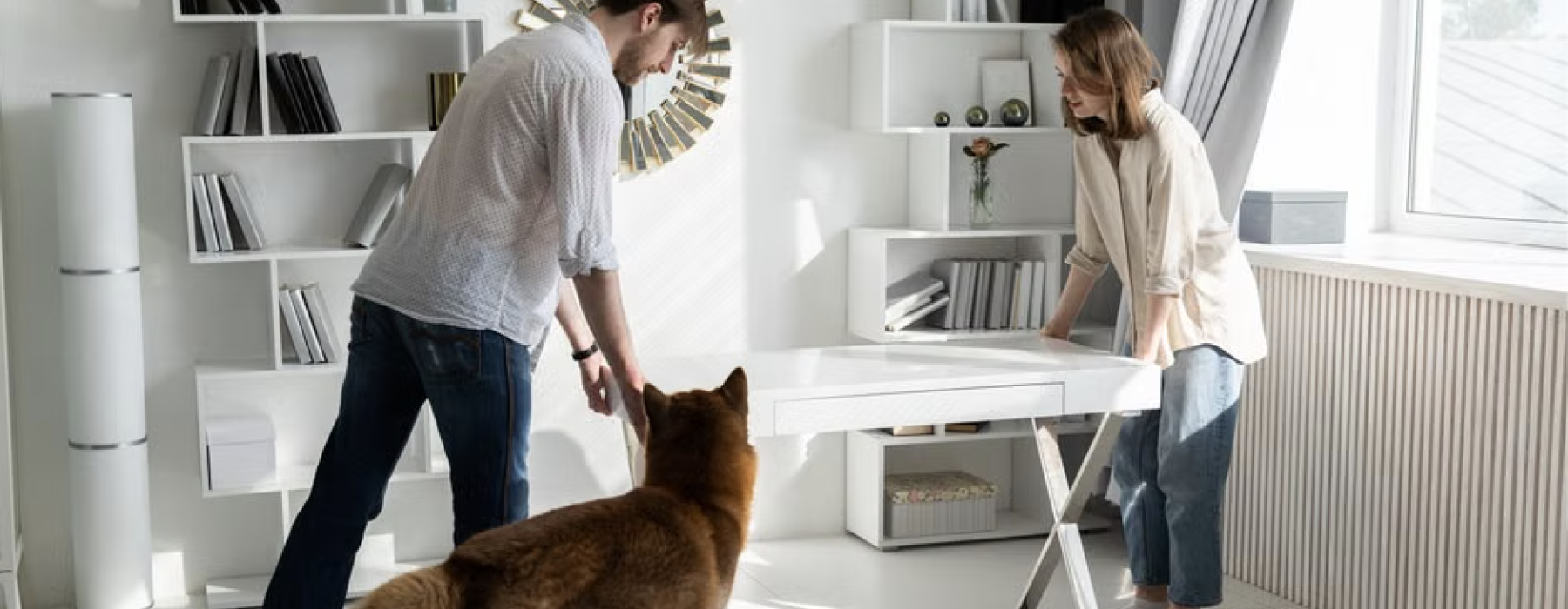 pet friendly apartments Chicago