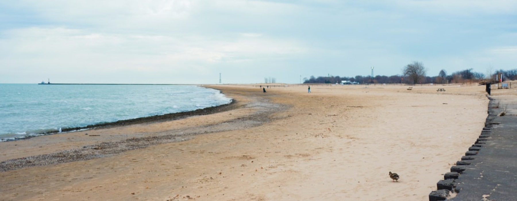 Montrose Beach with Chicago skyline - apartments near montrose beach